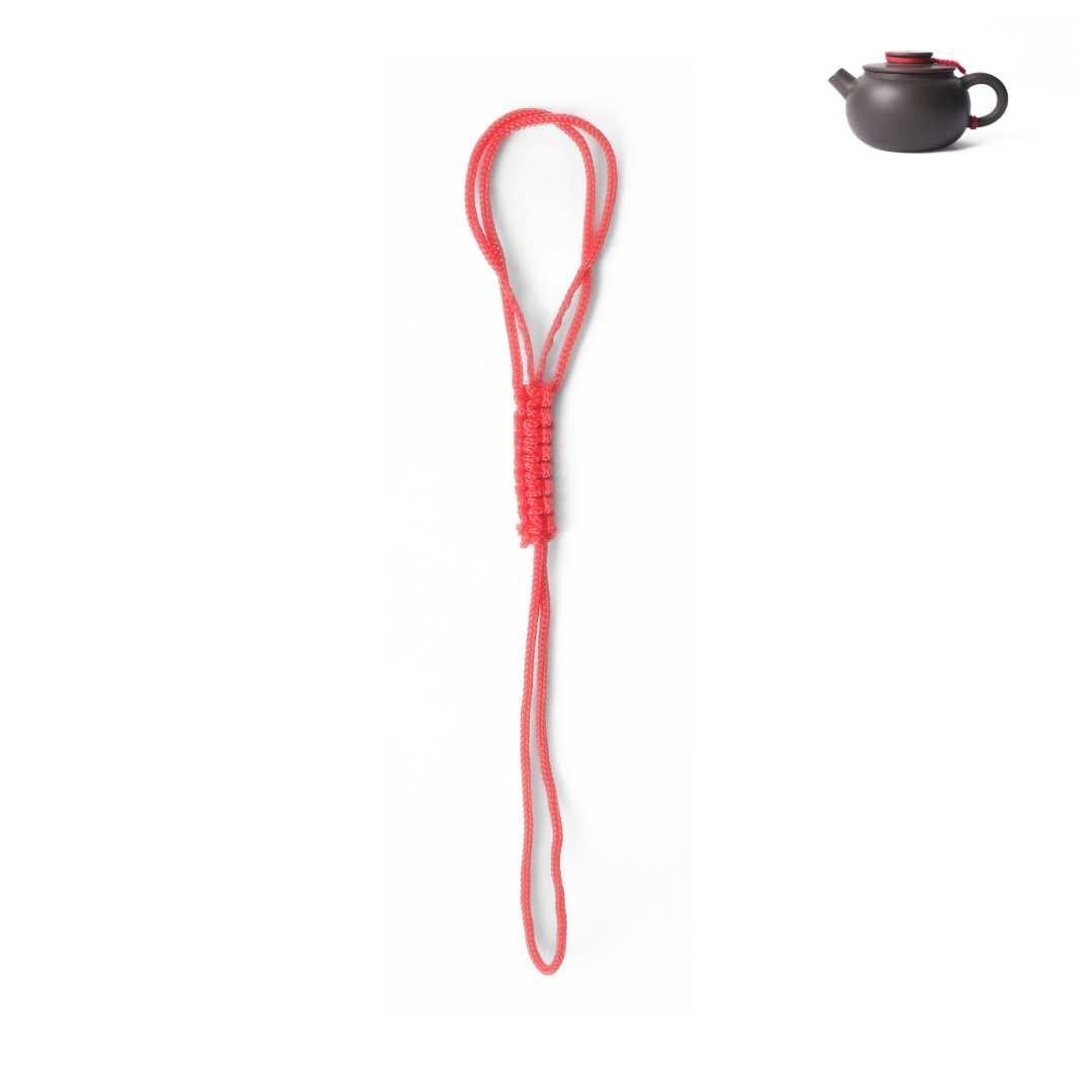 Lid Leash